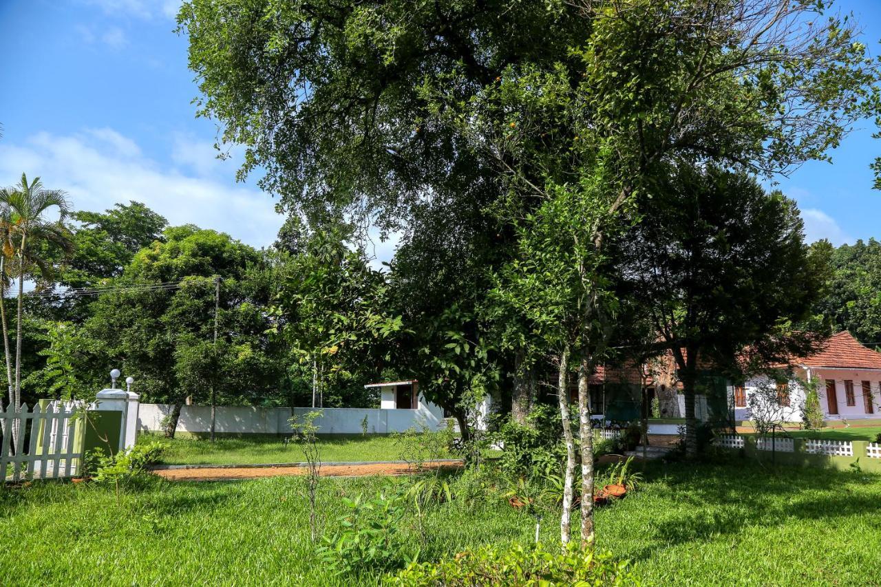 Akkara Homestay & Ayurveda コッタヤム エクステリア 写真